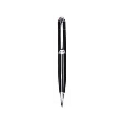 Voila Voice Recorder Pen.