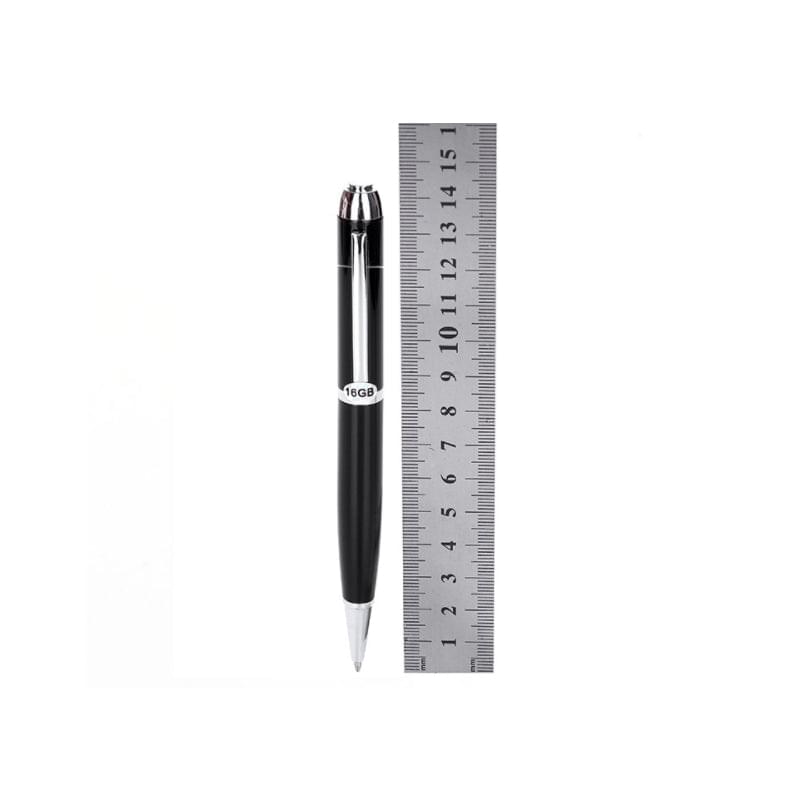 Voila Voice Recorder Pen.
